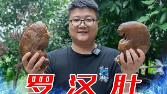 两斤猪皮两个猪肚一斤牛肉，阿米做特色名菜"罗汉肚”，层次分明，口感细腻