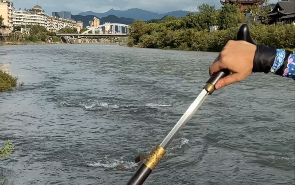 手提三尺龙泉剑,不斩奸邪誓不休.