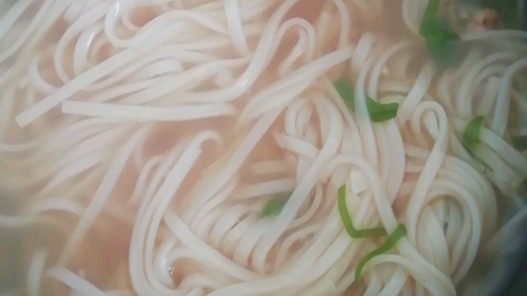 葱花面 哔哩哔哩 葱花面 哔哩哔哩