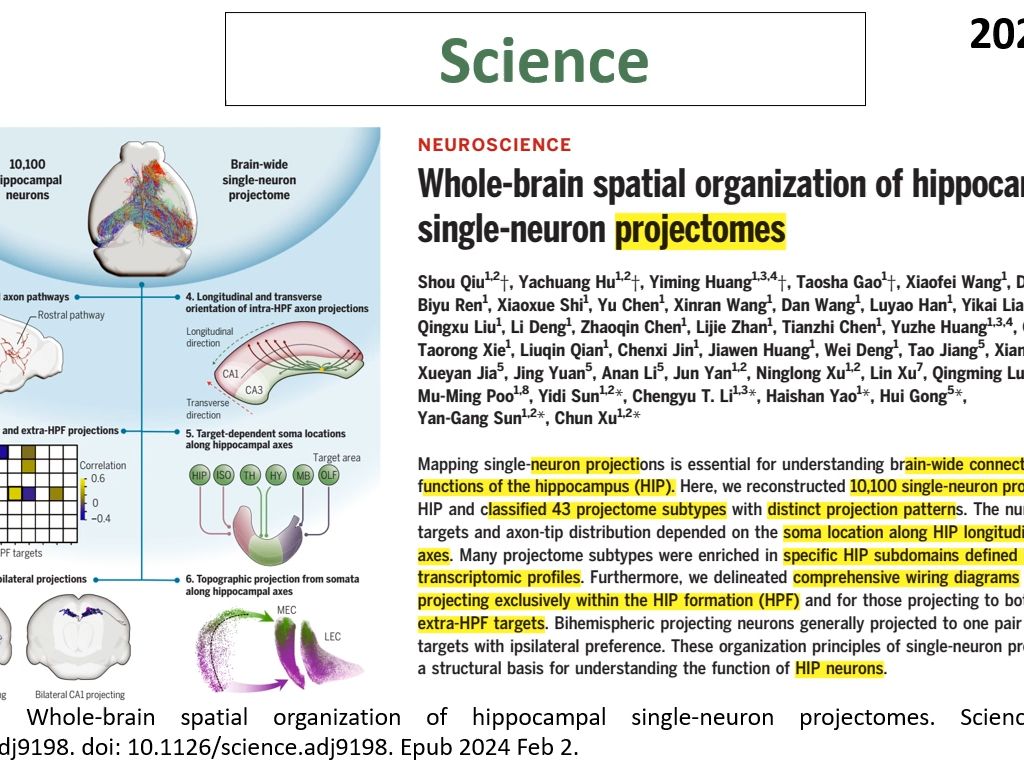 Science—脑图谱构建重磅突破:中科院神经所科学家成功构建了小鼠海马神经元的全脑投射图谱哔哩哔哩bilibili