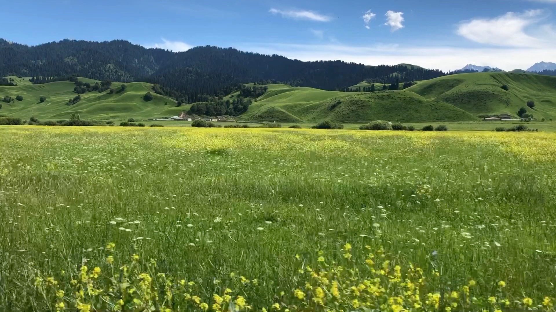 新疆伊犁那拉提草原