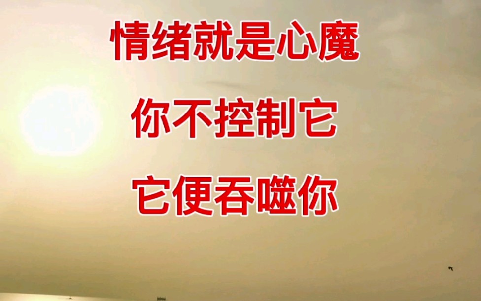 越是不顺的时候,越要沉的住气,情绪就是心魔,你不控制它,它就吞噬你