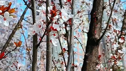 [图]我在温江等你来