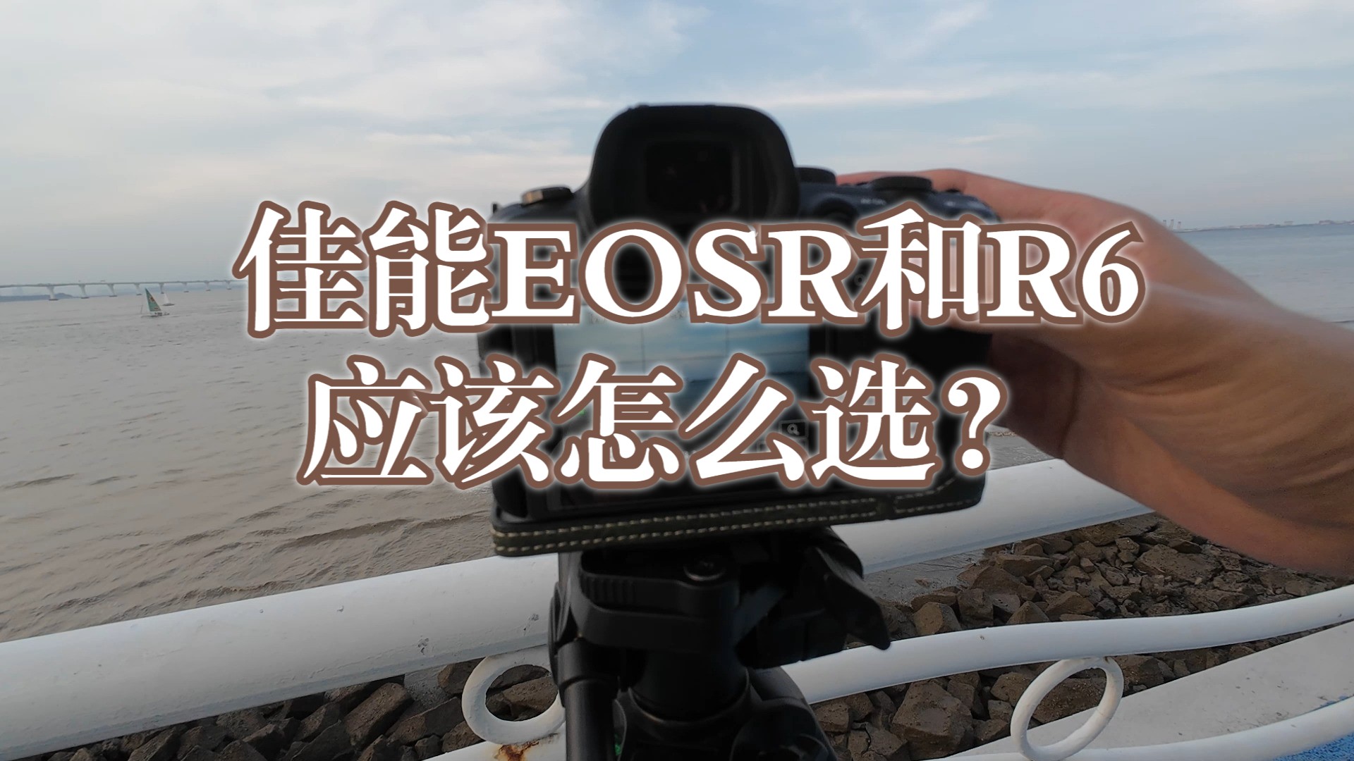 佳能EOSR和R6应该怎么选?哔哩哔哩bilibili