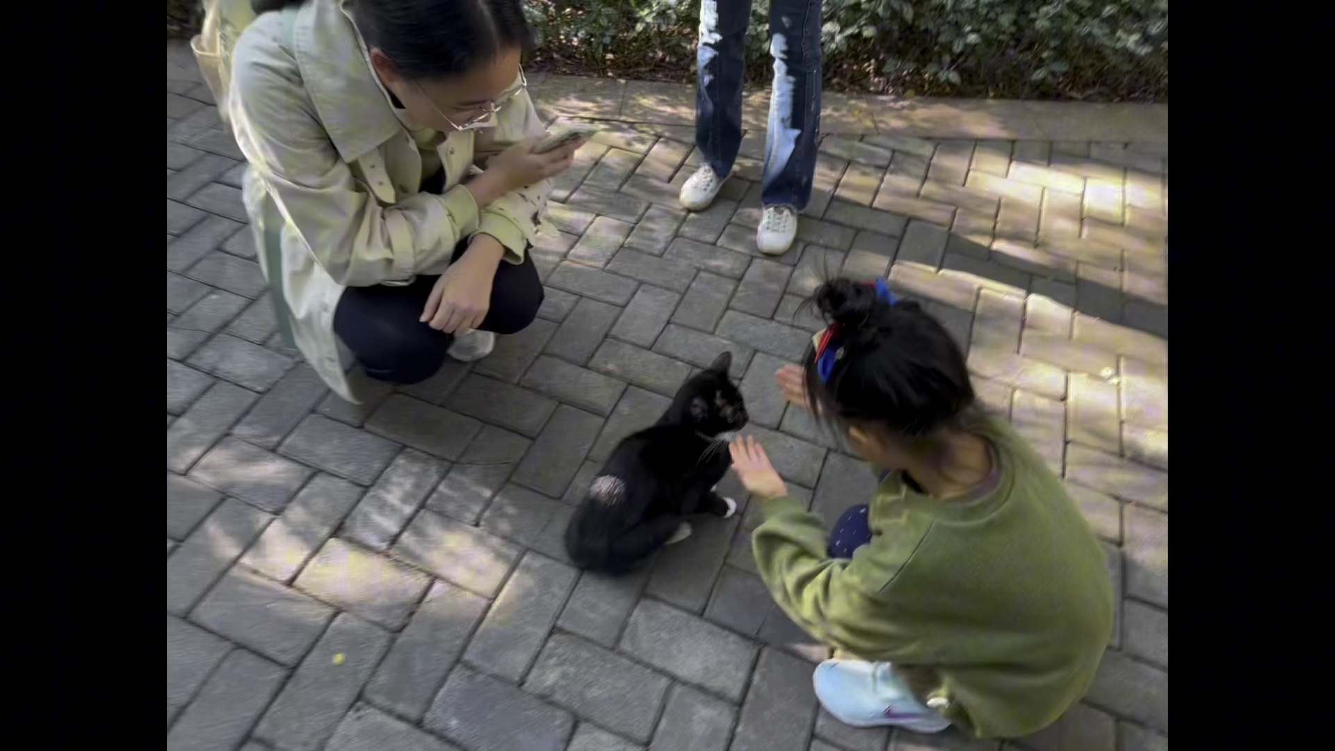 欢迎来到爱猫之城—广州哔哩哔哩bilibili