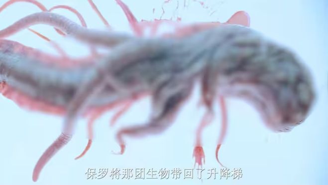 全部都是假的，主角根本没逃出去，临死前的幻想罢了海报