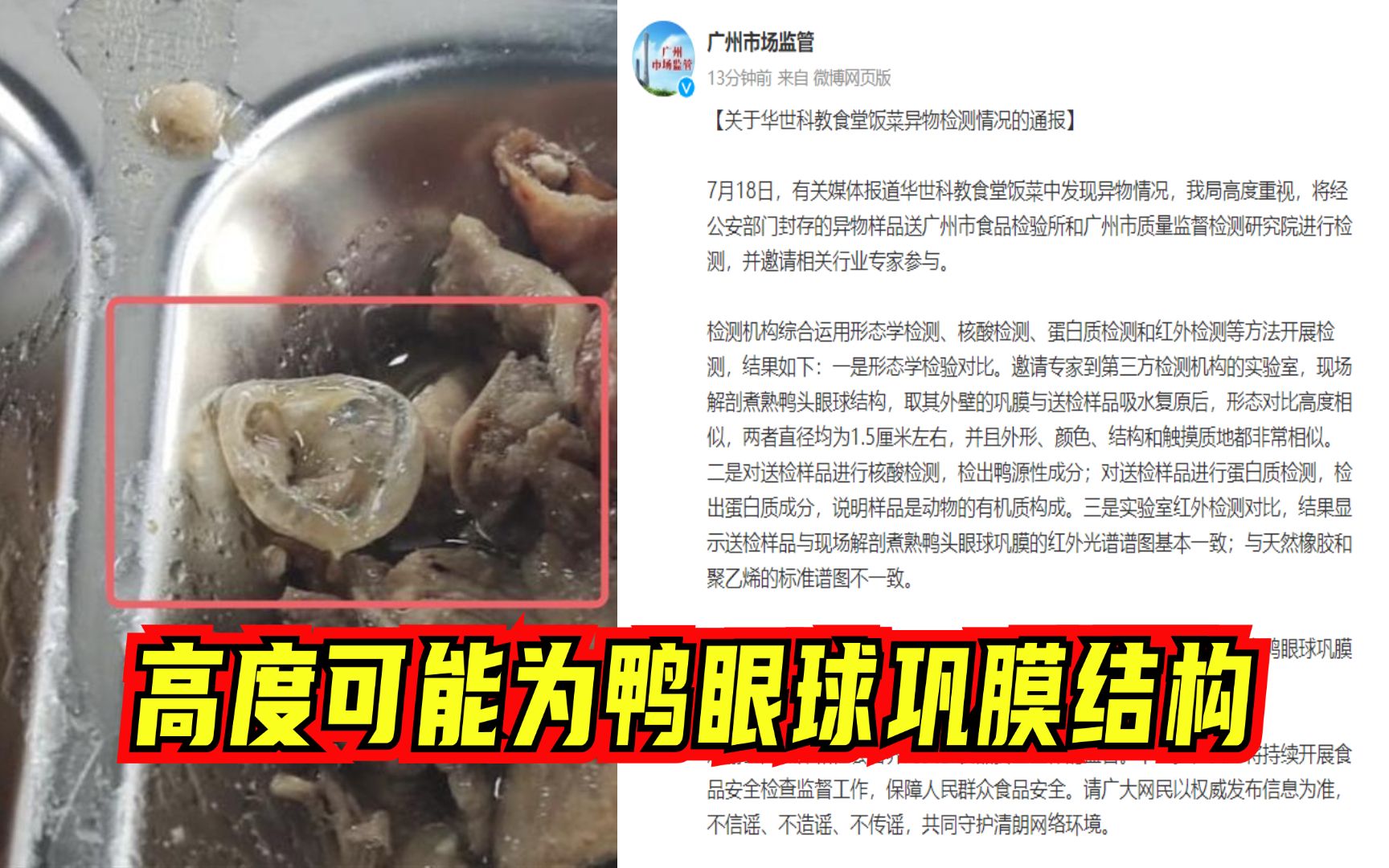 广州通报华世科教食堂饭菜异物检测情况:高度可能为鸭眼球巩膜结构哔哩哔哩bilibili