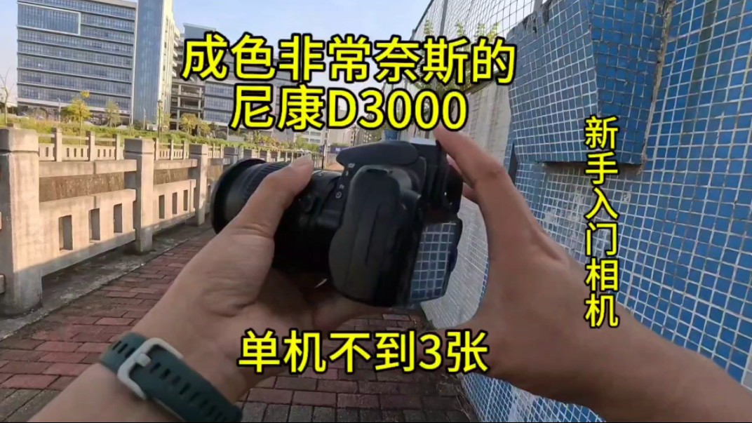 09年的尼康D3000单机300块能玩不?成像照片我直呼哇塞,能把CCD按在地上摩擦!!哔哩哔哩bilibili