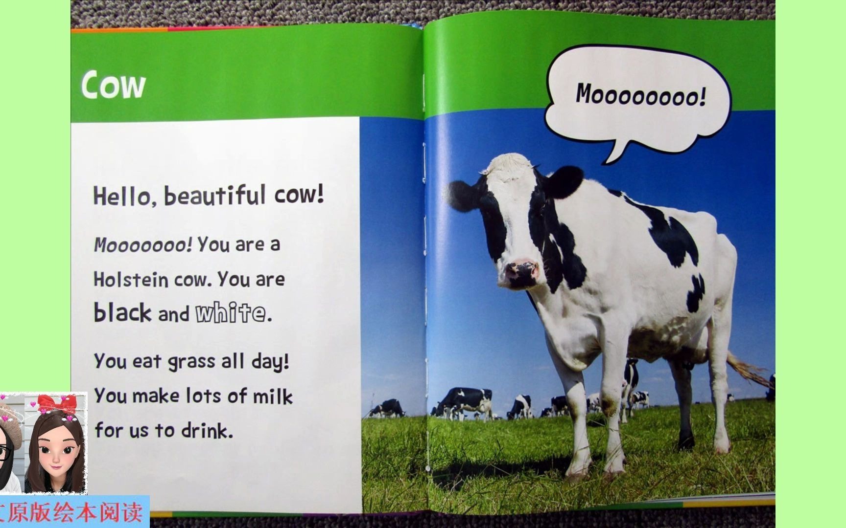 农场动物篇》之奶牛