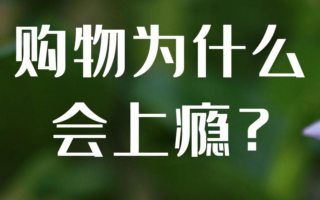 购物为什么会上瘾?“双11”商家的营销套路,大揭秘!哔哩哔哩bilibili