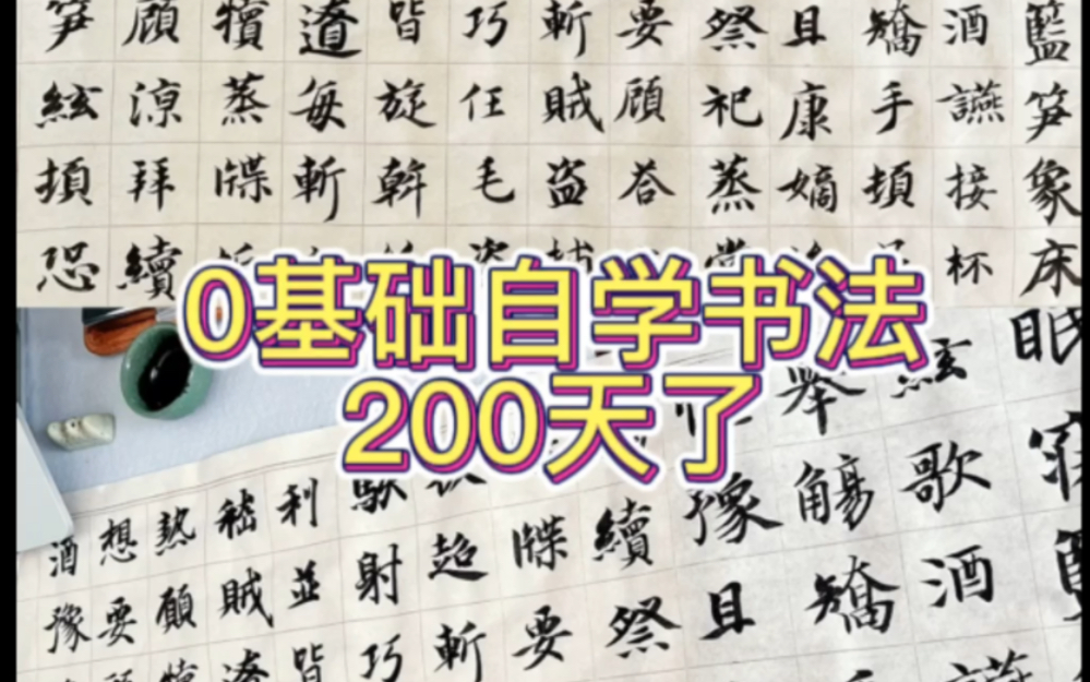 0基础自学书法200天,大龄青年,人生不要设限!哔哩哔哩bilibili