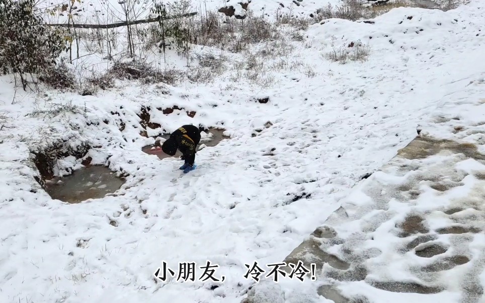 已经十几年没下雪的湖南,突然飘起了鹅毛大雪!哔哩哔哩bilibili