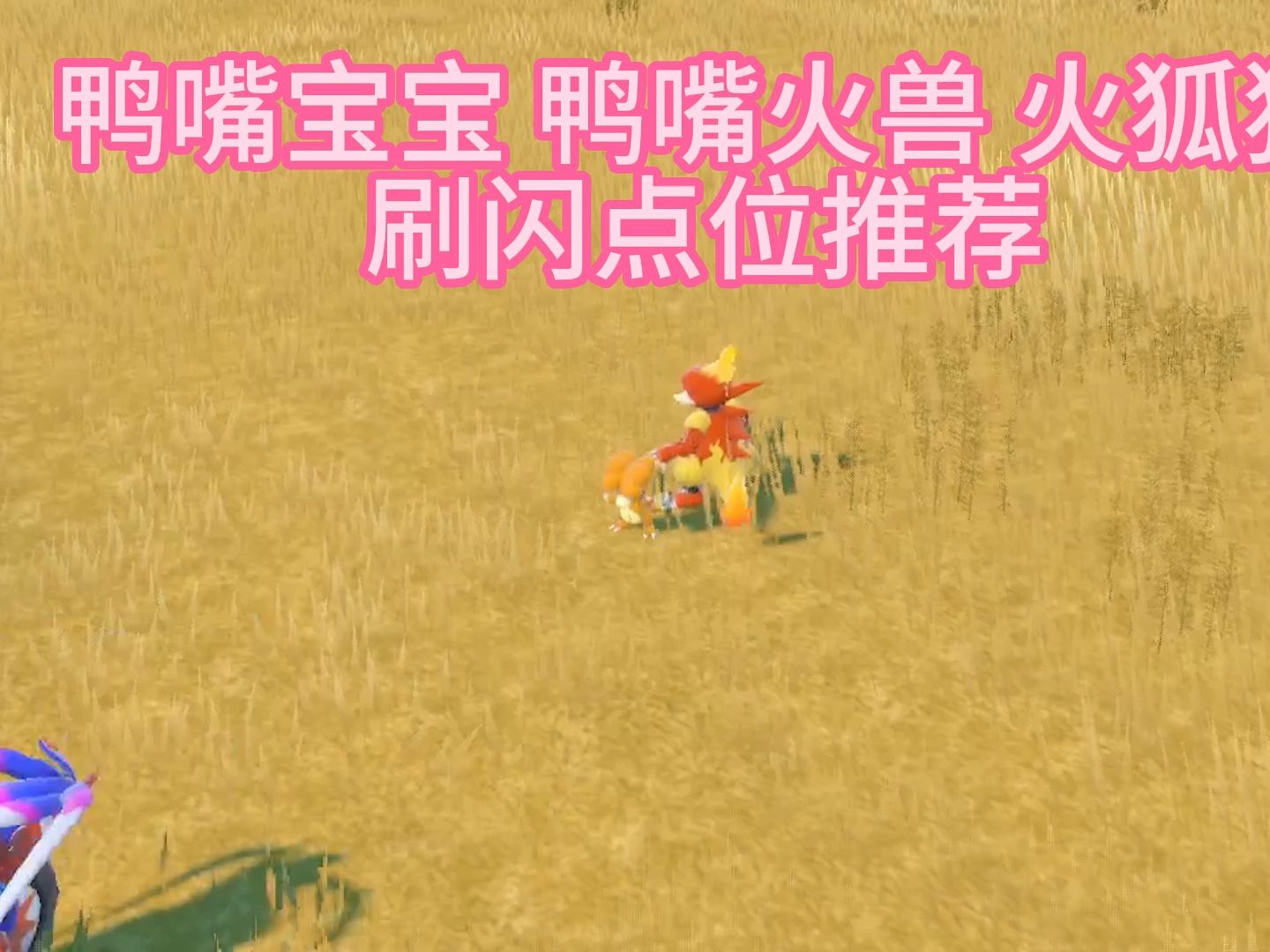 Fom哥|宝可梦朱紫 鸭嘴宝宝 鸭嘴火兽 火狐狸刷闪点位推荐 朱紫攻略-曾经是训练家的fom-曾经是训练家的fom-哔哩哔哩视频