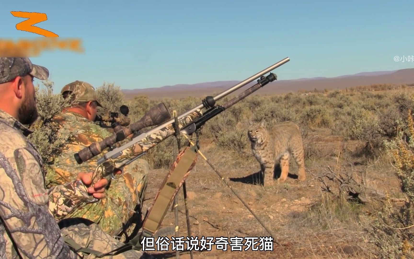 [图]国外小哥在农场清理郊狼的时候，不小心遭遇了一头大猫，现场空气瞬间安静了