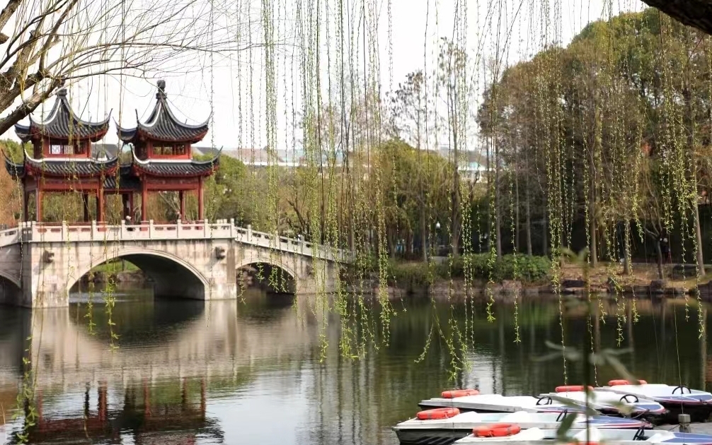 奉贤南桥古华公园(免门票)