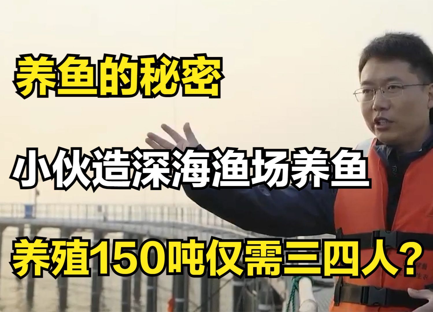 养鱼的秘密,小伙造深海渔场养鱼,养殖150吨仅需三四人?哔哩哔哩bilibili