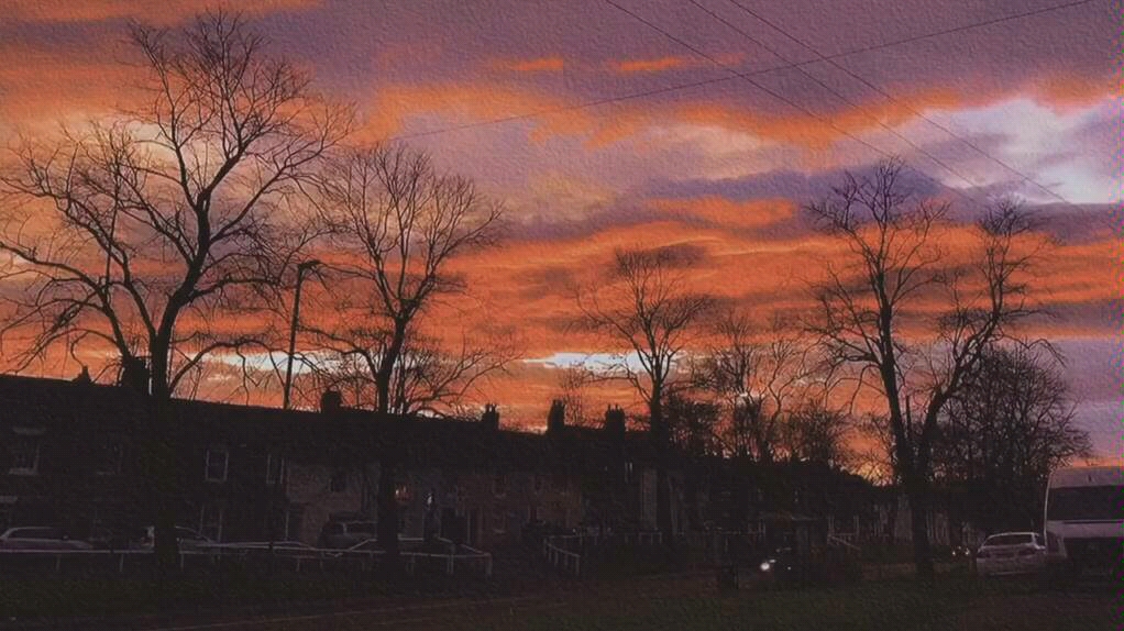 noorhotebbe捷克语我爱的是你