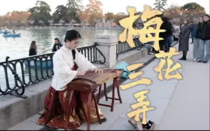 Download Video: 这初冬，梅花香都飘到了西班牙｜你听，这宿命感！