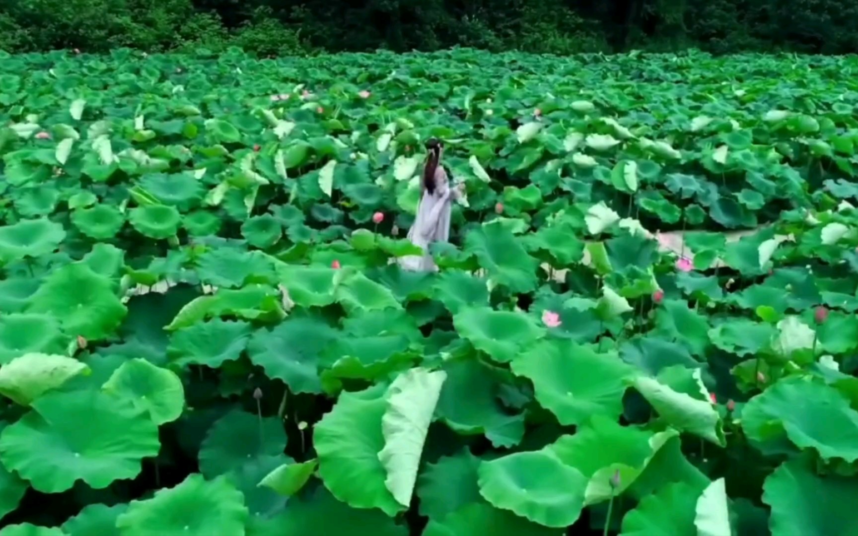 纯音乐欣赏《梦里水乡》,听醉了,仿佛置身江南水乡里.哔哩哔哩bilibili