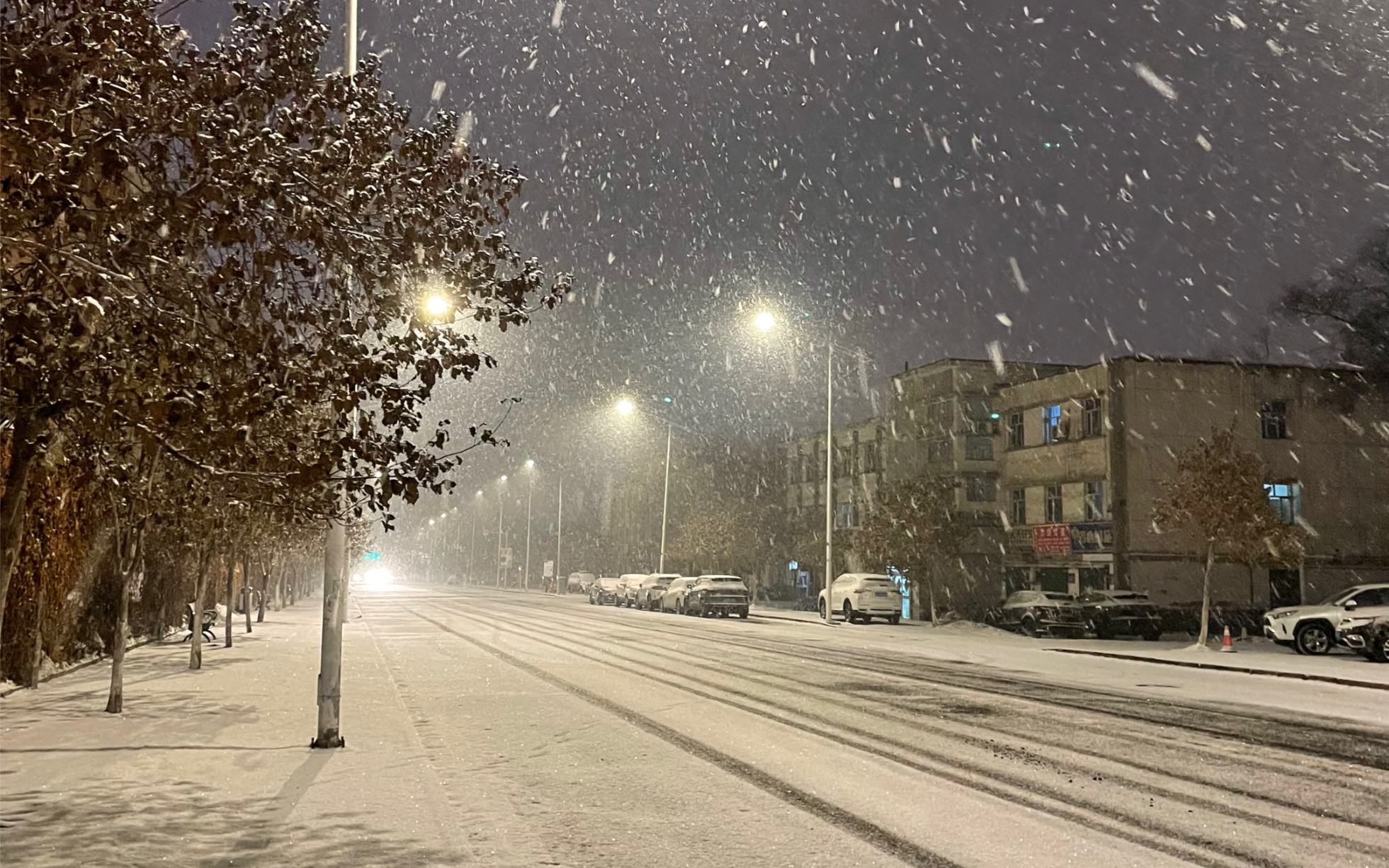 [图]元宵节的大雪