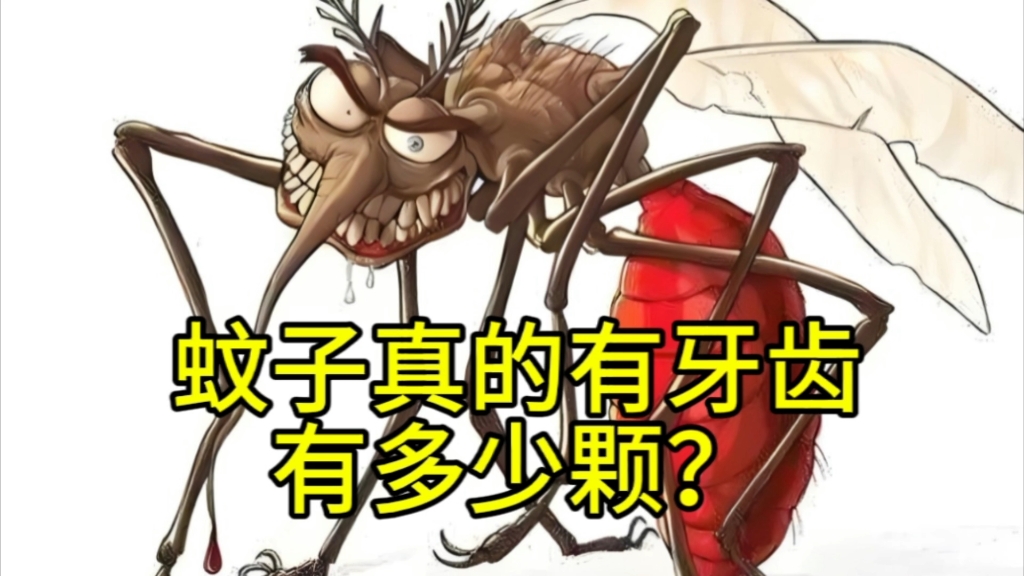 蚊子吸血真相揭秘?竟有牙齿?