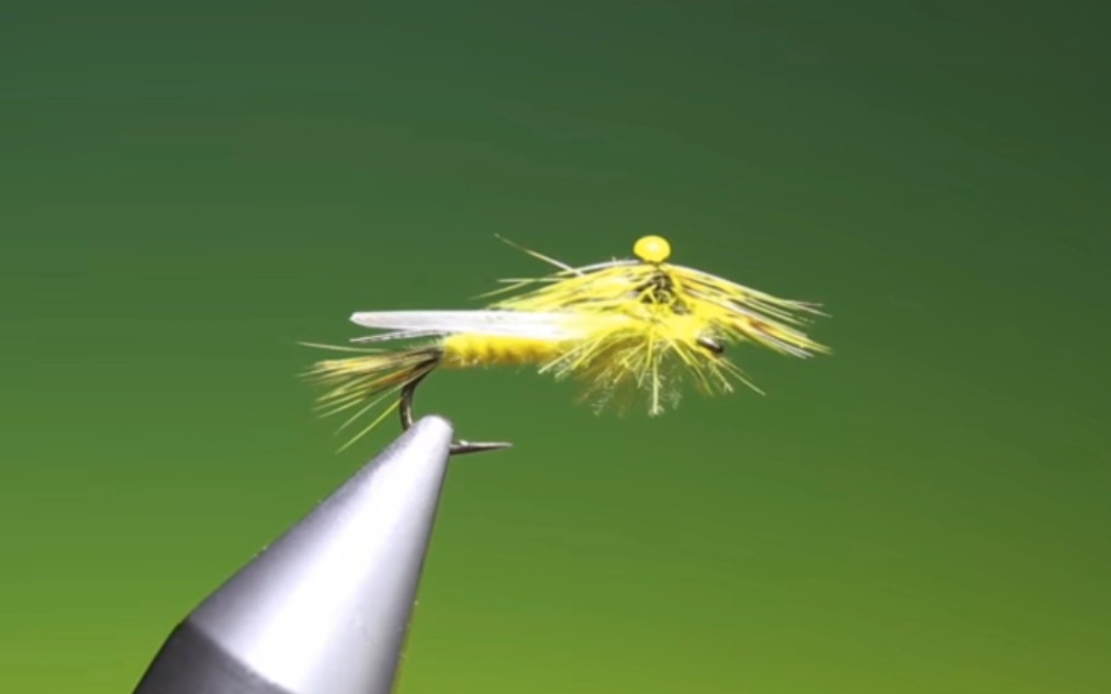 [图]Tying a yellow Sally stonefly with Barry Ord Clarke