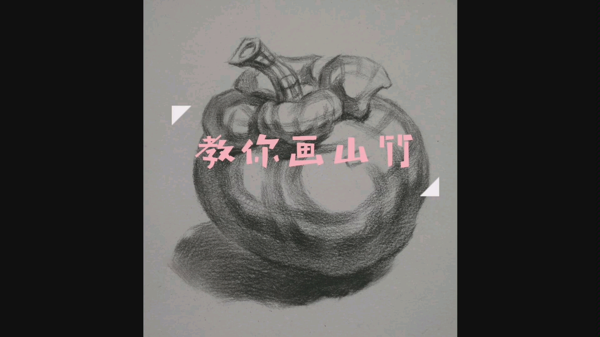 【素描静物入门】静物结构第五课:山竹结构素描