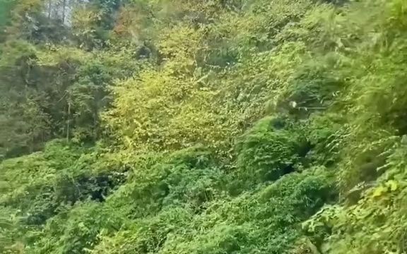 『乡村风光』风景宜人的秀丽乡村哔哩哔哩bilibili