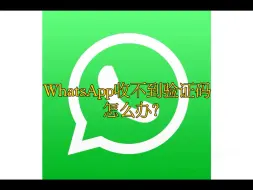 2024年whatsapp接收不到验证码怎么办？