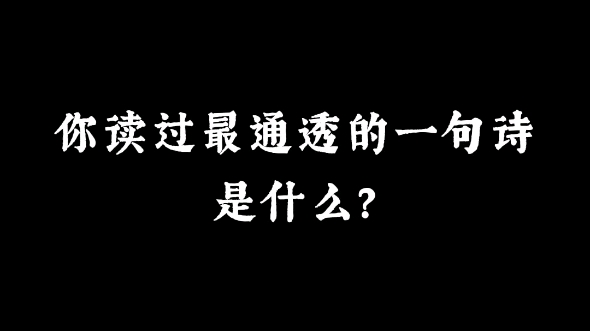 “江山风月,本无常主,闲者便是主人” | 你读过最通透的一句诗是什么?哔哩哔哩bilibili