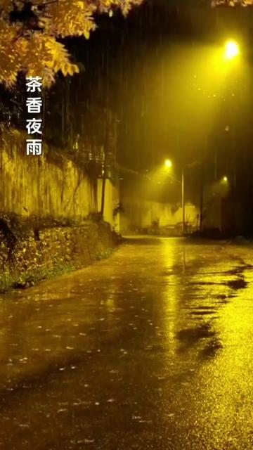 茶香夜雨歌曲配图图片