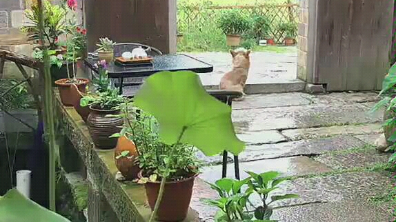 [图]【烟雨小镇】山水朦胧 萦绕梦中