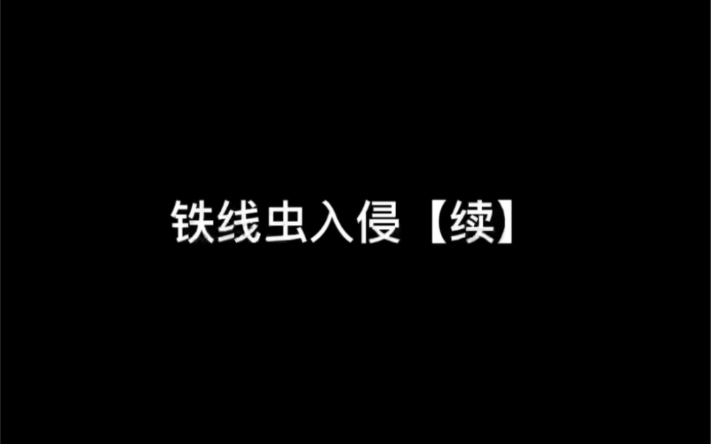 看看铁线虫的横截面是什么样的哔哩哔哩bilibili