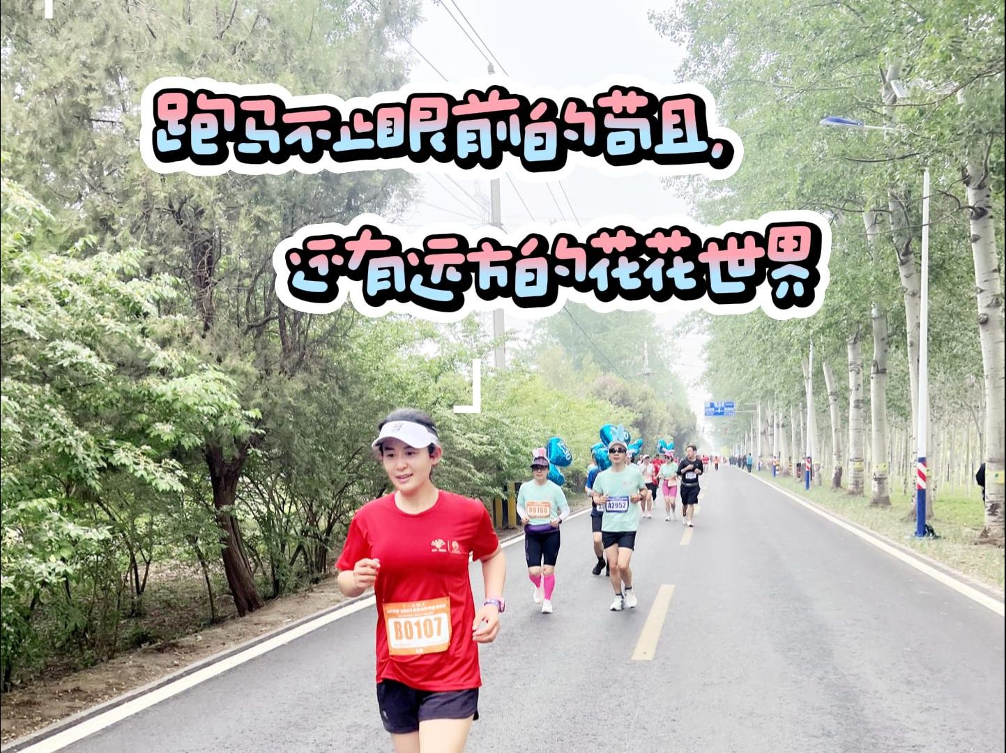 北京花马—跑马不止眼前的苟且,还有远方的花花世界