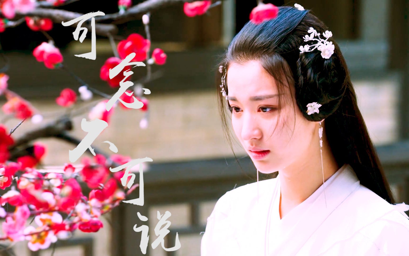 可念不可说柳惜音王楚然向死而活苦守的执着虚晃的一诺