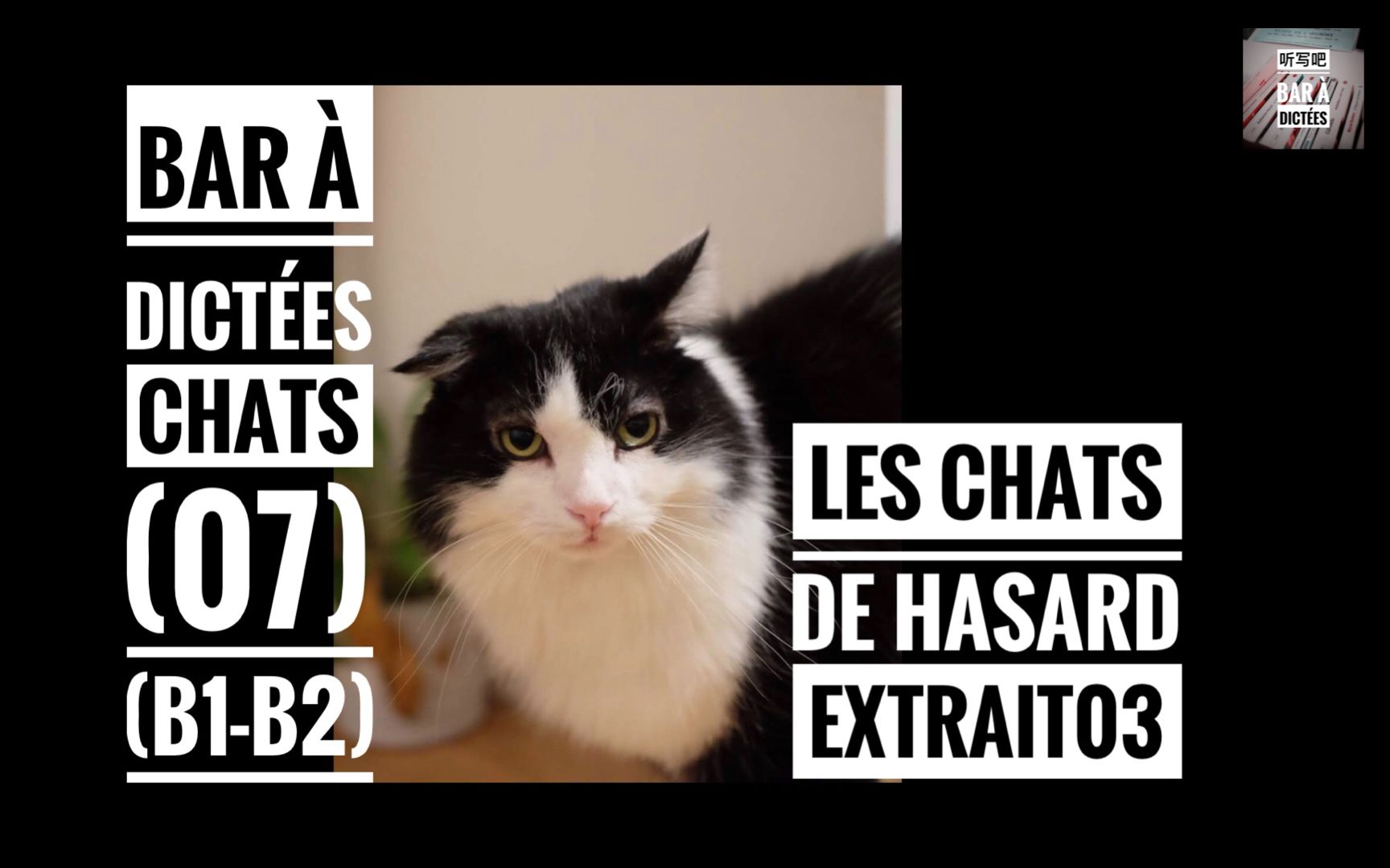 [图]【听写吧·B1-B2】Dictée.Chats.07_《偶遇的猫》节选｜Les chats de hasard.E03