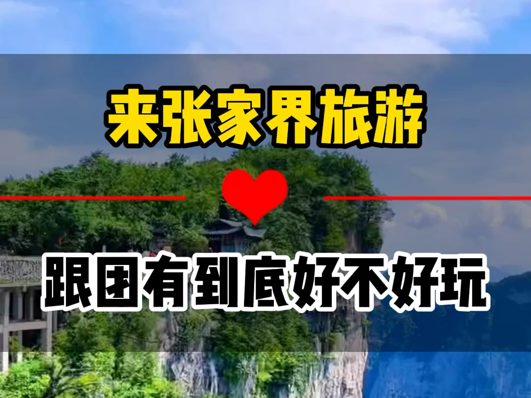 其实啊来张家界玩根本不用报大团.想要轻松游玩不踩坑,按照这份工里玩就可以了. #张家界 #张家界旅游 #张家界旅游景点推荐哔哩哔哩bilibili