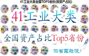 Tải video: 41工业大类全国资产占比Top5省份，粤苏鲁赢麻了