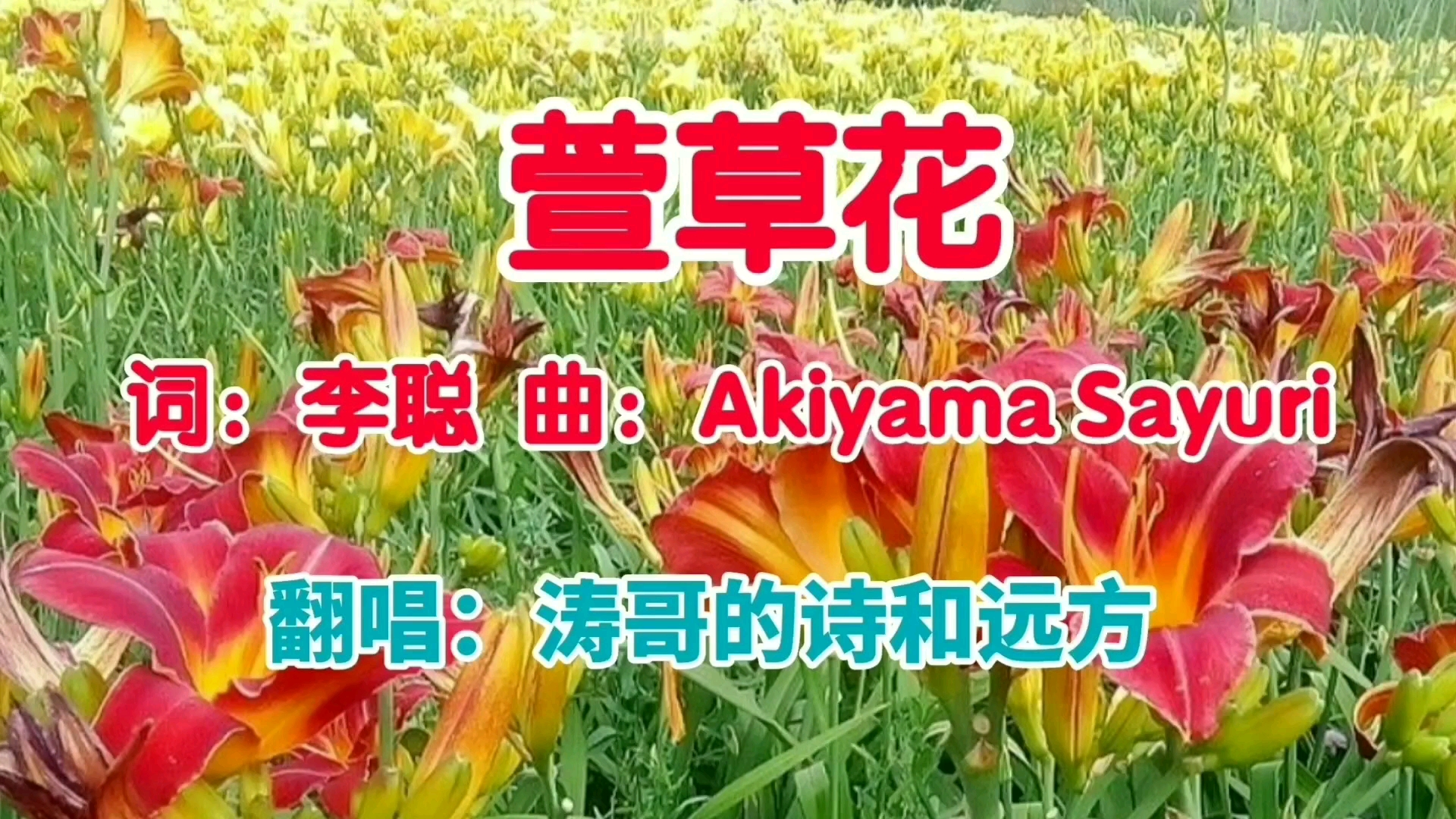 萱草花又名母亲花每一朵花都包含着浓浓的思念和牵挂