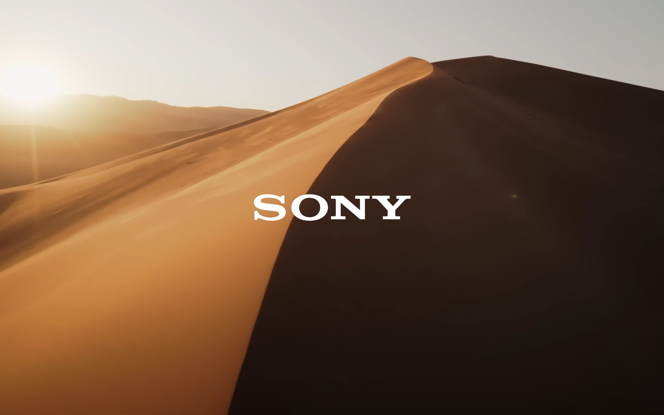 【4k超清】索尼fx6样片 —— 非洲