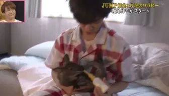 知念侑李 志村动物园 Yuri Cut 生肉 哔哩哔哩 Bilibili