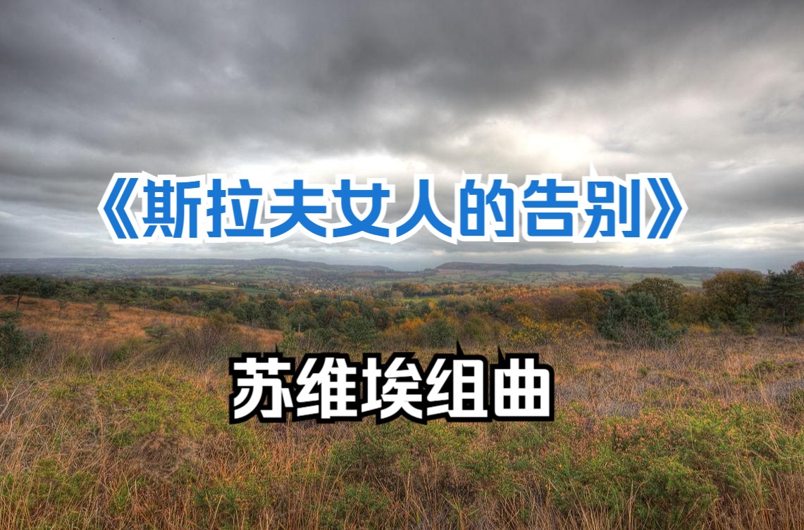 【改编· 演奏】《斯拉夫女人的告别》.