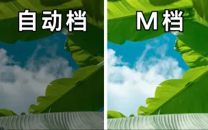 Download Video: 【摄影入门教程】相机拍的没手机好？相机的M档到底应该如何使用？