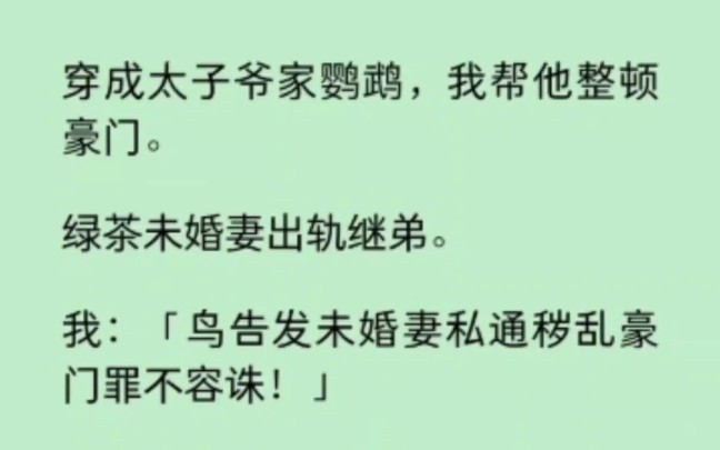 穿成太子爷家鹦鹉,我帮他整顿豪门… 《染心鹦鹉》~知乎哔哩哔哩bilibili