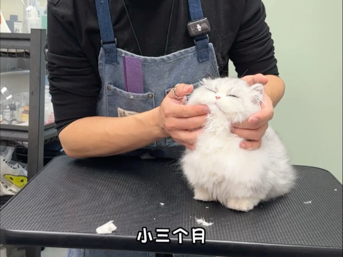 刚出厂的感觉都不一样海报