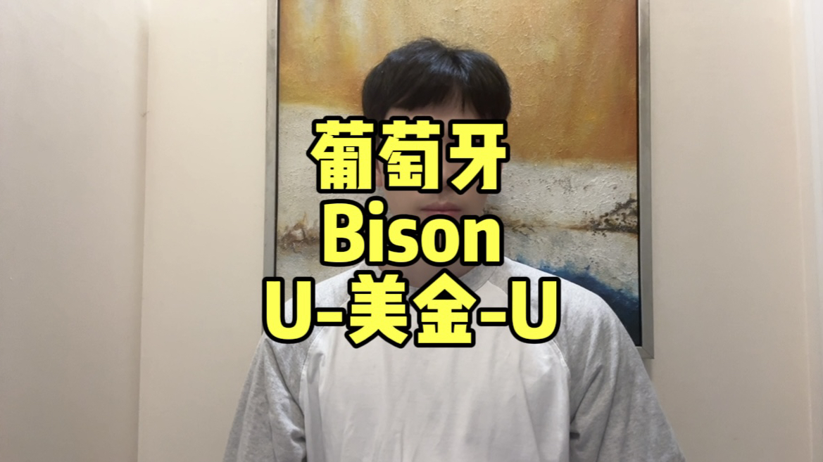 葡萄牙贝森银行支持加密货币自由兑换美金,支持企业个人开户哔哩哔哩bilibili