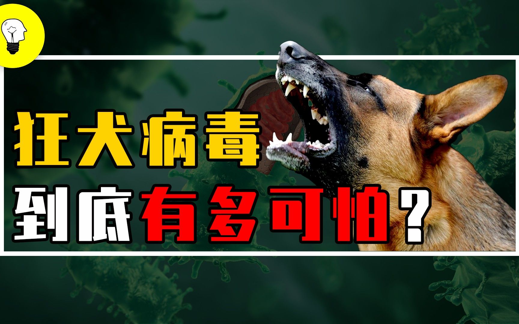 致死率將近100%的狂犬病毒,到底有多可怕?病毒是如何入侵身體的?