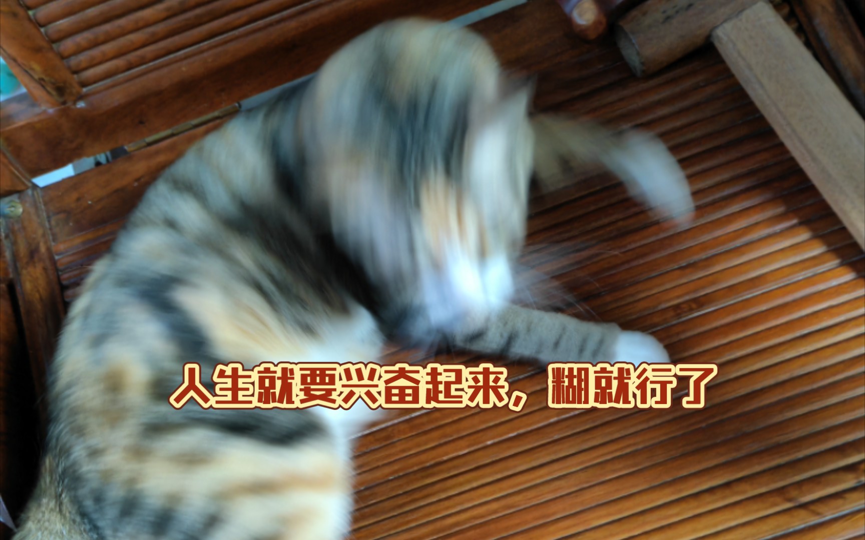 活动作品软管搞起来