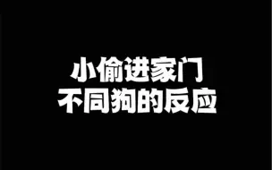 Tải video: 小偷进家门，不同狗狗的反应