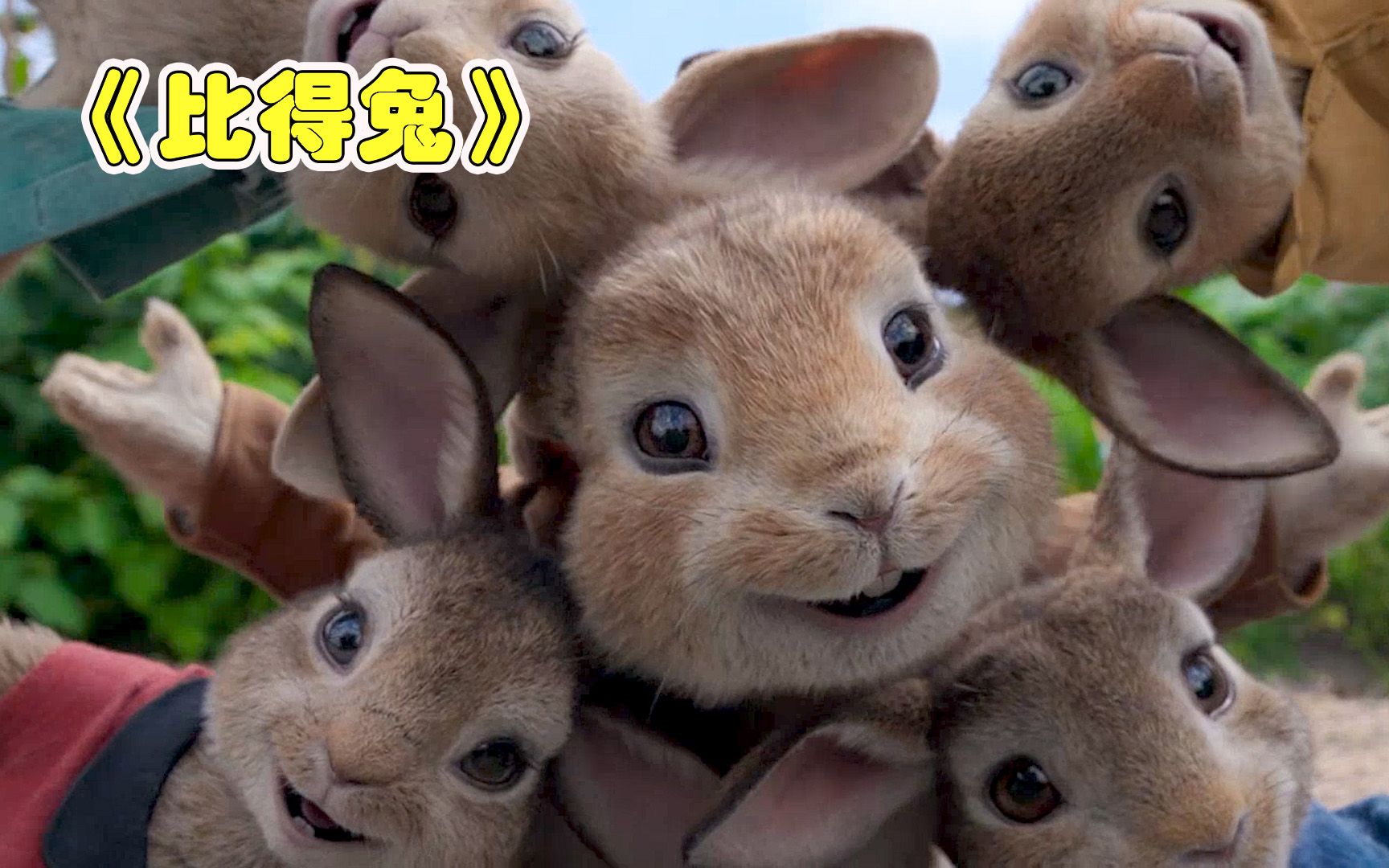 倒,奇幻喜剧《比得兔》[视频类型] 影视杂谈[视频标签] 喜剧,电影解说